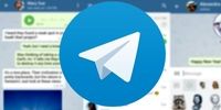‌ابتکار جالب یک شالی کار شمالی در اعتراض به فیلتر کردن تلگرام