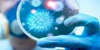 چهار هزار تغییر ایجاد شده در ویروس کرونا