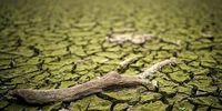 انگلیس ماه آینده اعلام خشکسالی می کند