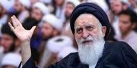 آیت‌الله علوی بروجردی: جوان‌های نسل جدید دنبال هر کسی می‌روند غیر از ما! چرا؟