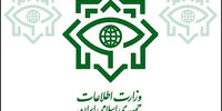 وزیر اطلاعات، رئیس سازمان حراست کل کشور منصوب کرد
