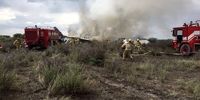 تلاش آتش‌نشانان برای خاموش کردن هواپیمای سقوط کرده در کرج +فیلم