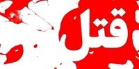 برادزاده، قاتل عمو از آب در آمد  