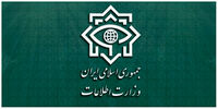 انهدام ۱۵ شبکه‌ کلان قاچاق سازمان‌یافته‌ در کشور