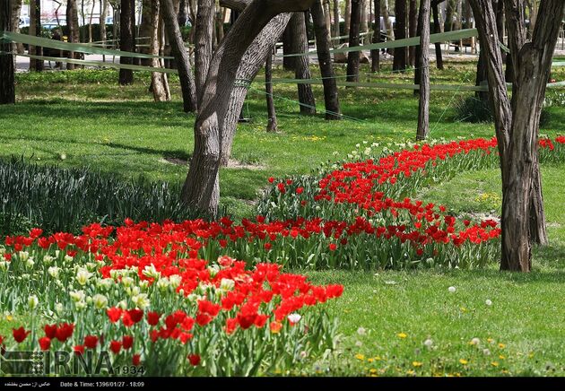 جشنواره گل ها در مشهد