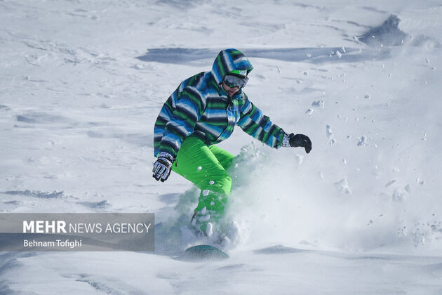 4014306_DSC_2766