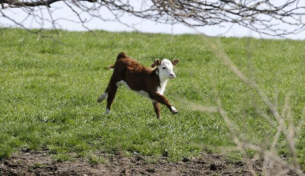 m9R4rLRyA7ky