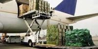 ابلاغ شیوه نامه یارانه حمل بار با هواپیمای باری حامل محصولات کشاورزی