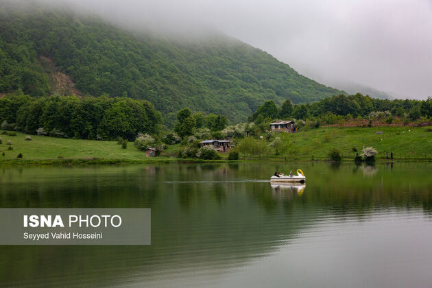 62300402_seyyed-vahid-hosseini-roudbar-28-