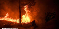 آتش سوزی 10 هکتار از اراضی ملی در فیروزکوه