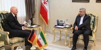 هیچ رویدادی همکاری اقتصادی ایران و آلمان را به خطر نمی اندازد