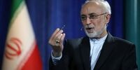 چه شد که ایران، سراغ غنی‌سازی ۶۰ درصدی رفت؟ | علی اکبر صالحی: ایران، مانند بلژیک، غنی‌سازی ۶۰ درصد را برای تولید «رادیو دارو» انجام می‌دهد |  آن زمان قصد ما تولید چند کیلو بود نه ۴۰۰ کیلو