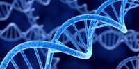 ذخیره سازی داده های دیجیتال روی DNA