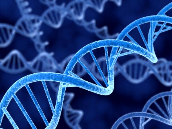 ذخیره سازی داده های دیجیتال روی DNA