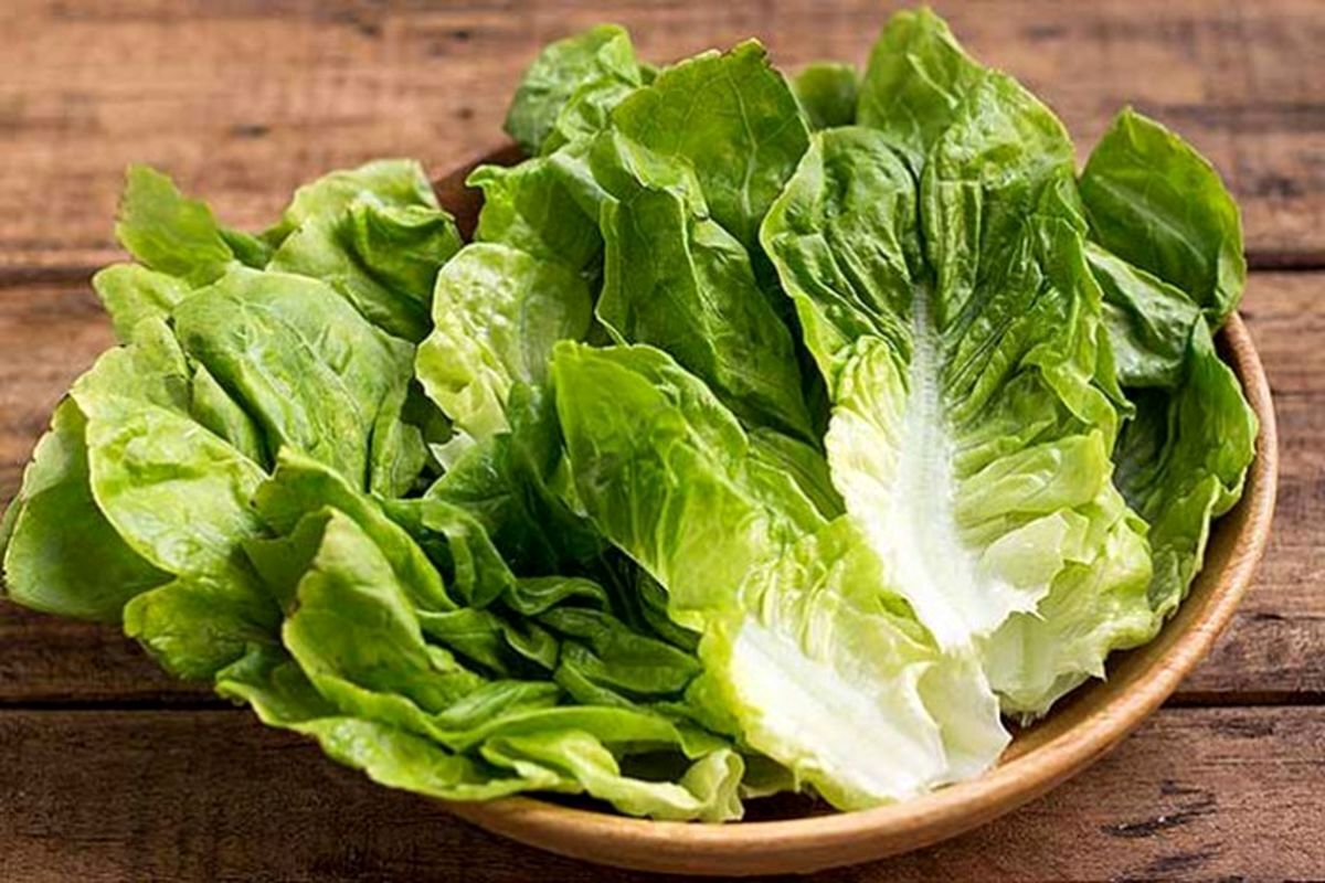  این سبزی پرطرفدار، مشهورترین خواب‌آور طبیعی است