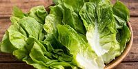  این سبزی پرطرفدار، مشهورترین خواب‌آور طبیعی است