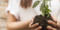 11 روش جالب و ارزان برای تقویت خاک گلدان 