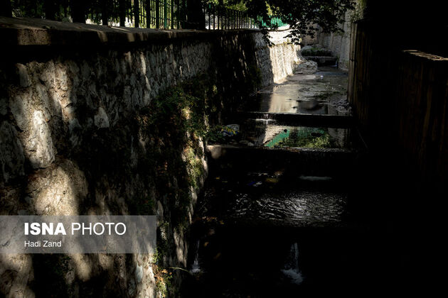 62392737_bolandi-15