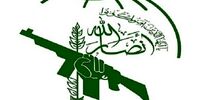 واکنش انصارالله یمن به جنایت اسرائیل در النصیرات