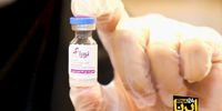 واکسن ایرانی «نورا» مجوز استفاده اضطراری گرفت+فیلم