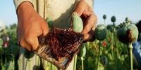 در این کشور یک میلیون کودک به مواد مخدر معتادند!