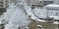 نام یک پادشاه بر خیابان معروف تهران +عکس