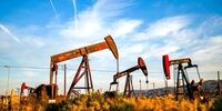 افزایش بهای نفت در میان الزام کاهش تولید