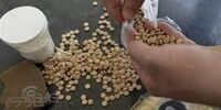  کشف7میلیون قرص روانگردان در هرمزگان