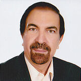 رضا شیوا