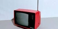 دو مجری مشهور تلویزیون که با اختلاف 12 سال سن زن و شوهرند+عکس