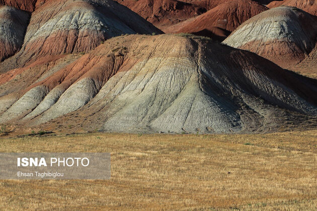 61968525_taghi-beygloo-isna-1