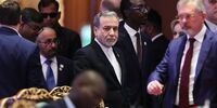 وزیر امور خارجه وارد تهران شد