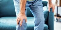 قوی‌ترین گیاه دارویی برای تسکین درد را بشناسید
