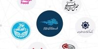 همکاری اسکای‌روم با بیش از ۶۰ هزار مشتری در حوزه‌های متنوع