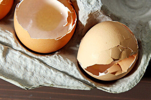 خواص باورنکردنی پوست تخم مرغ  که نمی دانستید
