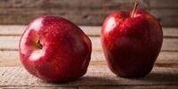 اگر زخم معده دارید، این مواد غذایی را هر روز بخورید 

