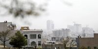 امانی: دولت فقط «تعطیل» می‌کند، قانون هوای پاک روی زمین مانده | شهرداری برای کاهش آلودگی هوا ردیف بودجه دارد اما...