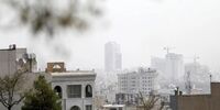 امانی: دولت فقط «تعطیل» می‌کند، قانون هوای پاک روی زمین مانده | شهرداری برای کاهش آلودگی هوا ردیف بودجه دارد اما...