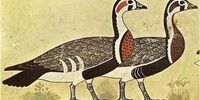 راز مونالیزای مصر باستان کشف شد