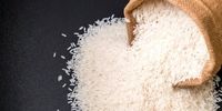 قیمت جدید انواع برنج در بازار
