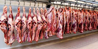 قیمت جدید گوشت اعلام شد/ شقه گوسفندی ۱۲۹ هزار تومان
