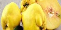 خواص شگفت‌انگیز به

