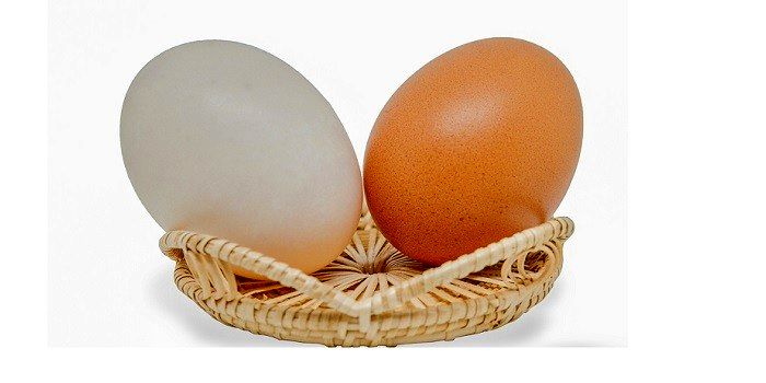 بلایی که مصرف تخم مرغ خام بر سرتان می آورد