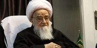 تصاویری از مرحوم آیت الله صافی گلپایگانی+زندگینامه و آثار