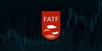 معاون وزیر اقتصاد: عضویت در FATF مانعی برای فروش نفت در شرایط مکانیسم‌ ماشه نیست | باید فورا از لیست سیاه خارج شویم