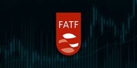 موضع دولت در قبال FATF از زبان سخنگو