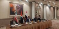 واکنش امیرعبداللهیان به ربایش گردشگران اسرائیلی در ترکیه