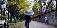 بارش باران در ۷ استان / تهران گرم می‌شود؟

