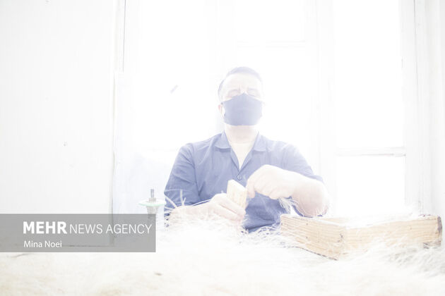 3922203_IMG_7907