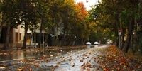 کیلید همراه شما برای خرید آپارتمان در مناطق اعیان‌نشین تهران